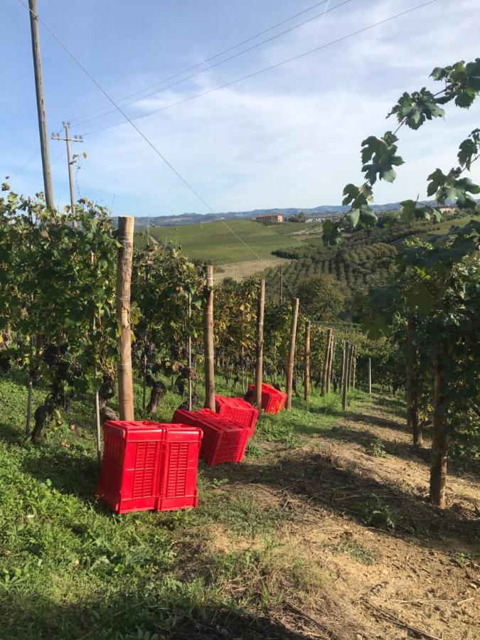 Il Grecale - Camere E Appartamenti La Morra Exterior foto
